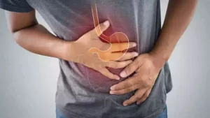 फूलों के राजा गुलाब4 