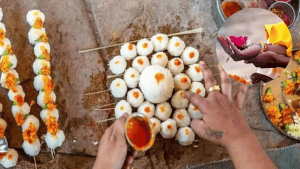 श्राद्ध 2024/ SHRADH 2024