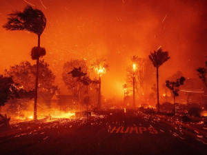 लॉस एंजिल्स में आग/FIRE IN LOS ANGELES