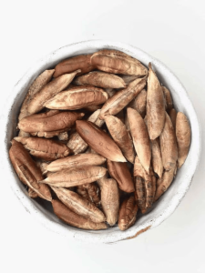 खजूर के बीज/ Date seeds