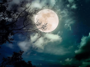 माघ पूर्णिमा/ Magh Purnima
