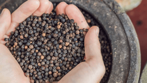 काली मिर्च के फायदे/Benefits of Black Pepper