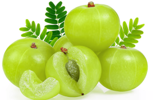 आंवला आयुर्वेदिक फायदे लाभ/Amla Ayurvedic Benefits