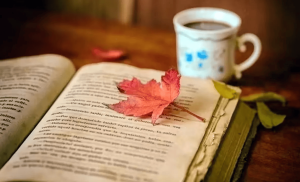 डिजिटल युग में किताबें/Books in the digital age