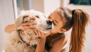 अंतर्राष्ट्रीय कुत्ता दिवस महत्व/International Dog Day significance