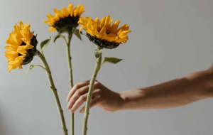 मृगतृष्णा के पीछे भागना / chasing a mirage