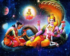 डोल ग्यारस पूजा विधि