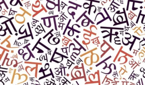 हिंदी दिवस का महत्व/Importance of Hindi Day