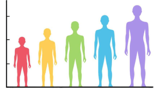 भारत में घटती लंबाई/Declining length in India