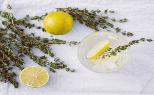 नींबू थाइम सर्दियों में जड़ी-बूटी/Lemon thyme is an herb in winter