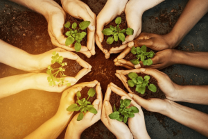 भारतीय पर्यावरणीय इतिहास/Indian environmental history