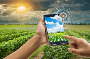 कृत्रिम बुद्धि मौसम पूर्वानुमान/artificial intelligence weather forecast