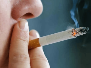 तंबाकू सेहत का दुश्मन/Tobacco is the enemy of health