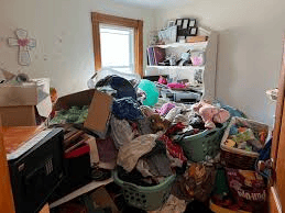सुघड़ गृहिणी व्यवस्थित घर/well-organized housewife