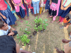 प्रकृति संरक्षण/Nature Conservation