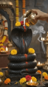 नाग पंचमी उपाय/Nag Panchami Upay