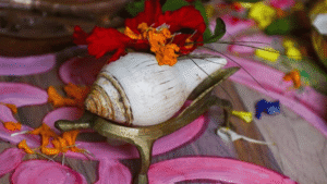 हर क्षेत्र में अमूल्य है शंख/The conch is invaluable in every sphere